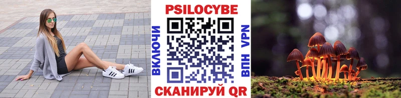 Псилоцибиновые грибы Psilocybe  Шилка 